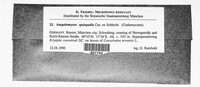 Ampelomyces quisqualis image